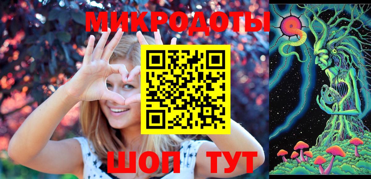 Псилоцибиновые грибы Psilocybe  Вход с VPN  Нижнеудинск 